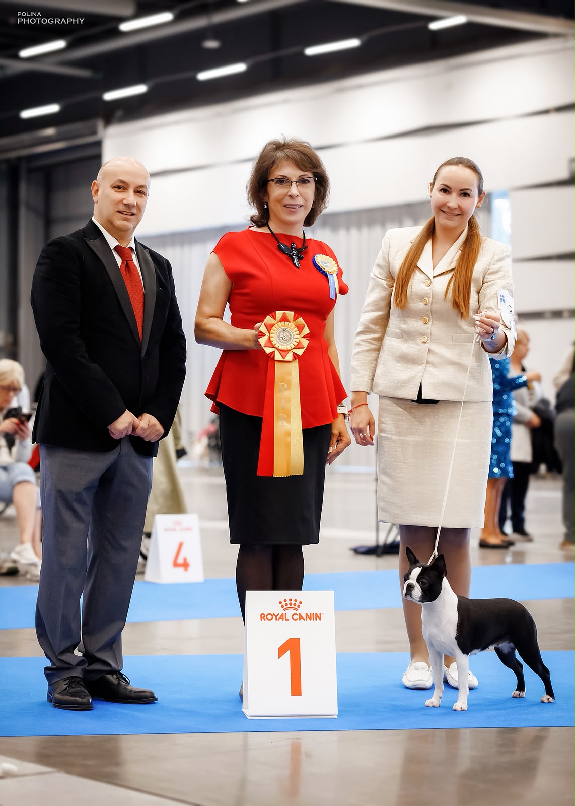 AT Team Divine Darla - European Dog Show 2026 Sweden